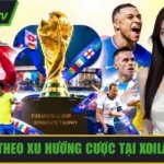 kèo bóng đá theo xu hướng cược